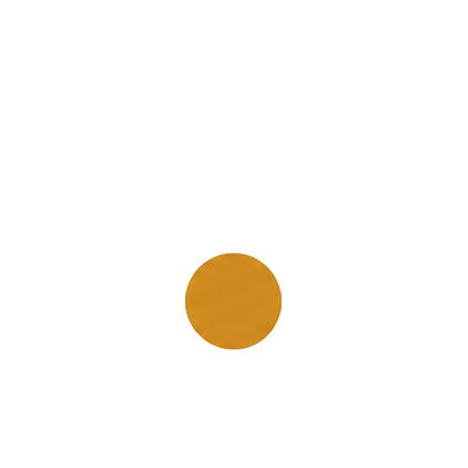Aviva Laboratories Inc
